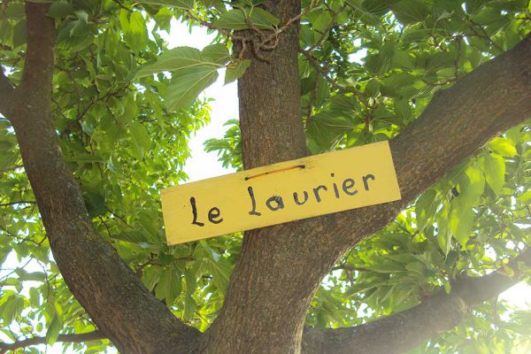panneau petit camping 600x400 - Camping in France with own tent or caravan | Photo gallery