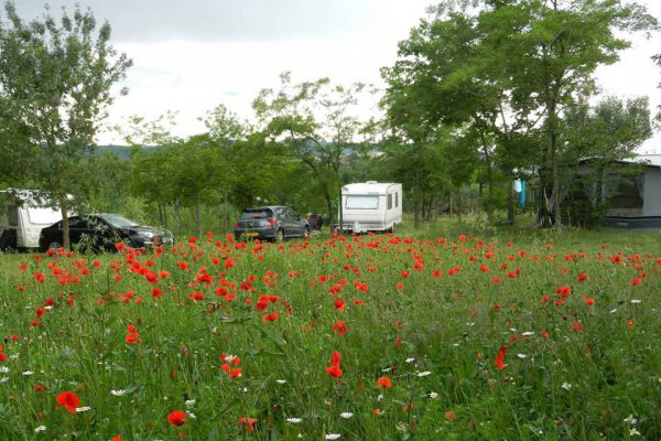 petit camping printemps 600x400 - Camping in France with own tent or caravan | Photo gallery