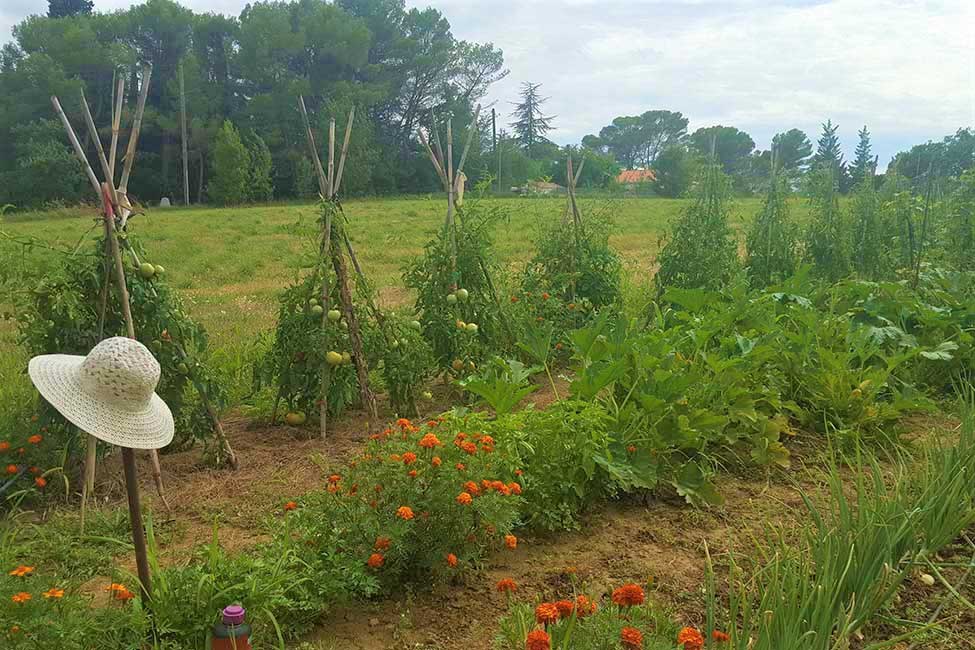 chambre hote ales potager - Sustainable tourism in Cevennes