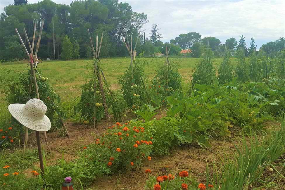 chambre hote ales potager - Duurzaam toerisme in Cevennen