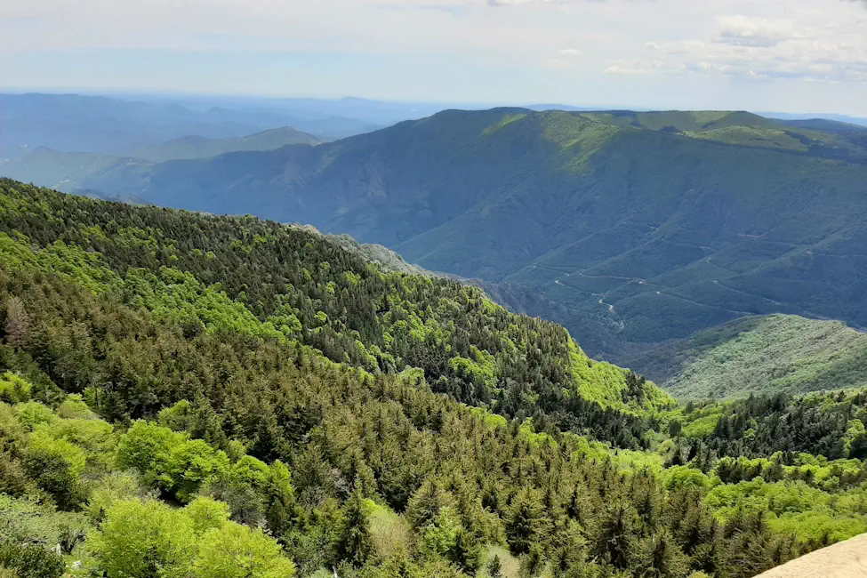 mont aigoual cevennes - Gard & C&eacute;vennen toerisme | Natuur, dorpen & daguitstappen